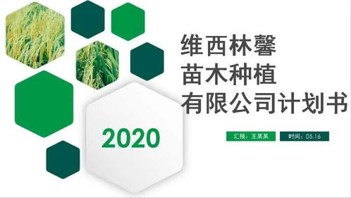 團州委攜北京智庫與農投會，點燃農業創業“云引擎”——農業產品領域線上路演暨培訓側記